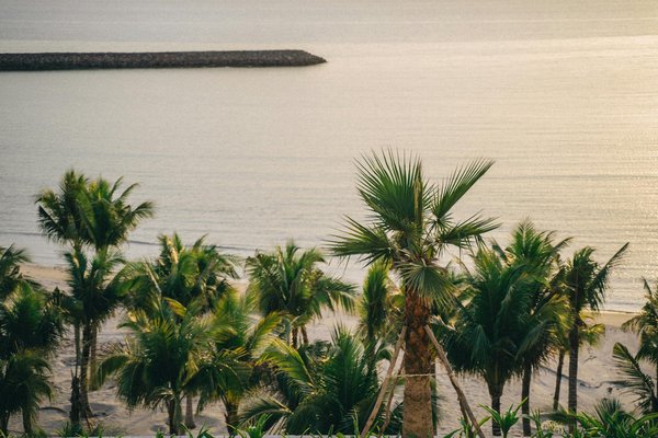 Nouveautés du secteur aérien sur flywest