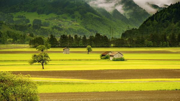 Est-il possible de réserver une cabane dans les arbres pour un séjour romantique en France ?